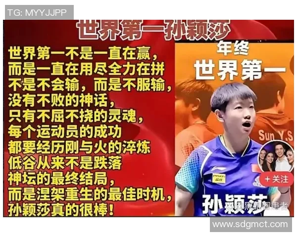 上海市十大体育明星排行榜揭晓他们的成就与影响力分析