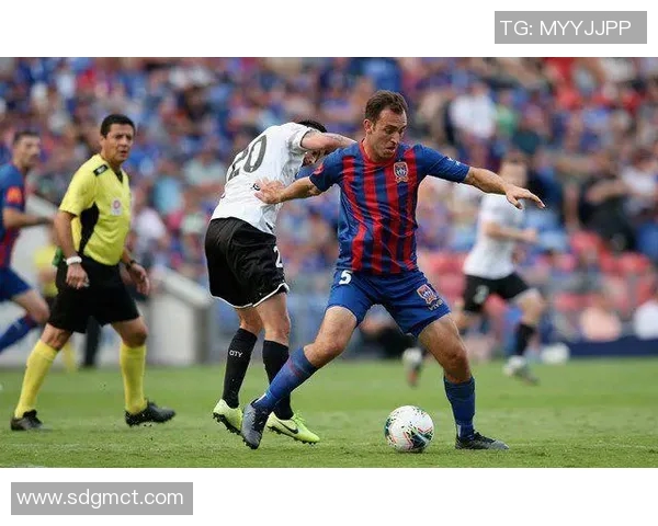 澳甲新城堡迎战凤凰队争夺季后赛资格的关键之战